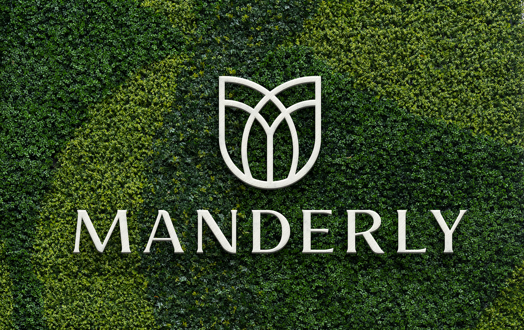 Manderly